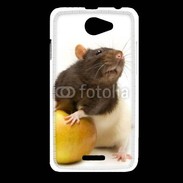 Coque HTC Desire 516 Rat bicouleur