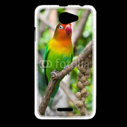 Coque HTC Desire 516 Oiseau Inséparable