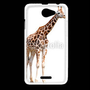 Coque HTC Desire 516 Girafe