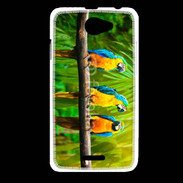 Coque HTC Desire 516 Trois perroquets bleu et jaune