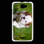 Coque HTC Desire 516 Chiot bulldog anglais 3