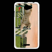 Coque HTC Desire 516 Agility Golden retriever