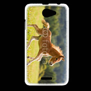 Coque HTC Desire 516 Poulain dans un champs