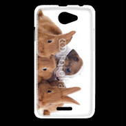 Coque HTC Desire 516 Gardien de lapins