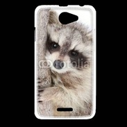 Coque HTC Desire 516 Raton laveur dans un arbre