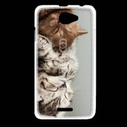 Coque HTC Desire 516 Sieste de chatons