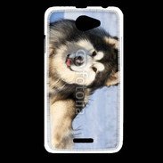 Coque HTC Desire 516 Chien d'Alaska