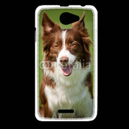 Coque HTC Desire 516 Chien Colley marron et blanc