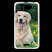 Coque HTC Desire 516 Portrait de Chien Golden 5