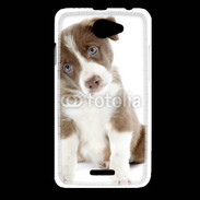 Coque HTC Desire 516 Chiot Colley marron et blanc