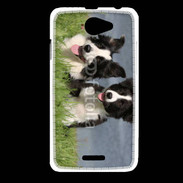 Coque HTC Desire 516 Chien Border Collie noir et blanc
