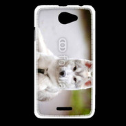 Coque HTC Desire 516 Chien Husky de Sibérie 2
