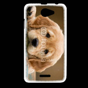 Coque HTC Desire 516 Chiot labrador golden 2