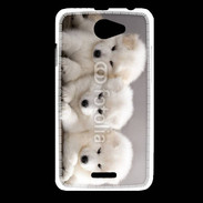 Coque HTC Desire 516 Chiot japonais blanc