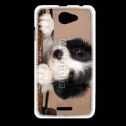 Coque HTC Desire 516 Chiot blanc et noir 2