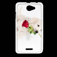 Coque HTC Desire 516 Chiot Golden retriever 2