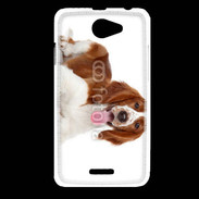 Coque HTC Desire 516 Chien Springer Spaniel