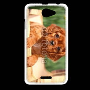 Coque HTC Desire 516 Chiot King Charles 2