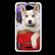 Coque HTC Desire 516 Portrait chiot Husky de Sibérie 1