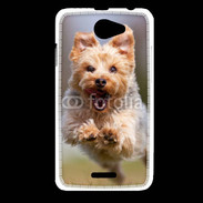 Coque HTC Desire 516 Yorkshire terrier 6
