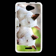 Coque HTC Desire 516 Chien Bull terrier anglais 1