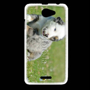 Coque HTC Desire 516 Chiot blanc et gris 1