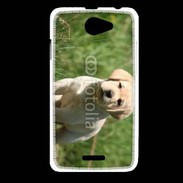 Coque HTC Desire 516 Mignon petit labrador