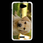 Coque HTC Desire 516 Chiot labrador 4