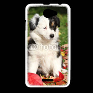 Coque HTC Desire 516 Adorable chiot Border collie