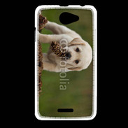 Coque HTC Desire 516 Chiot labrador avec pomme de pin