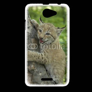 Coque HTC Desire 516 Bébé Lynx