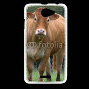 Coque HTC Desire 516 Vache de race limousine