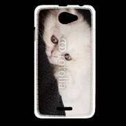 Coque HTC Desire 516 Chat persan blanc 5