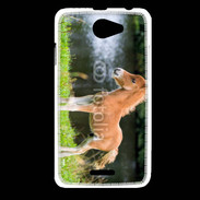 Coque HTC Desire 516 Poulain marron et blanc