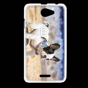 Coque HTC Desire 516 Bulldog français nain