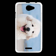 Coque HTC Desire 516 Chiot Golden retriever 16
