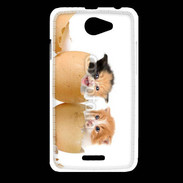 Coque HTC Desire 516 Chaton dans des coquilles d'oeuf