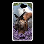 Coque HTC Desire 516 Cheval sentant la lavande 