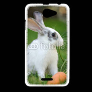 Coque HTC Desire 516 Lapin et carotte