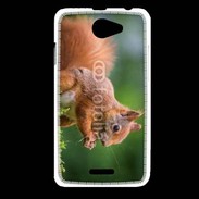 Coque HTC Desire 516 Ecureuil avec des noisettes