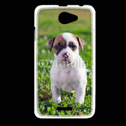 Coque HTC Desire 516 Chiot American Staffordshire terrier 