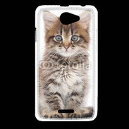 Coque HTC Desire 516 Portrait d'un chaton 75