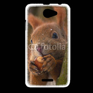 Coque HTC Desire 516 Portrait d'un écureuil avec une noisette