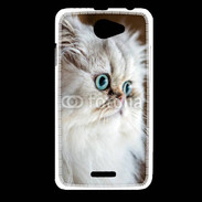 Coque HTC Desire 516 Magnifique chat persan aux yeux bleus