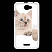 Coque HTC Desire 516 Petit chaton en portrait