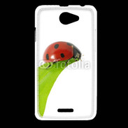 Coque HTC Desire 516 Belle coccinelle 10