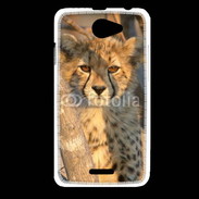Coque HTC Desire 516 Jeune félin
