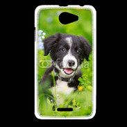 Coque HTC Desire 516 Chiot Border Collie 100
