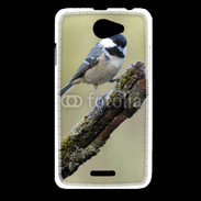Coque HTC Desire 516 Oiseau sur une branche 100