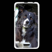 Coque HTC Desire 516 Border collie 500